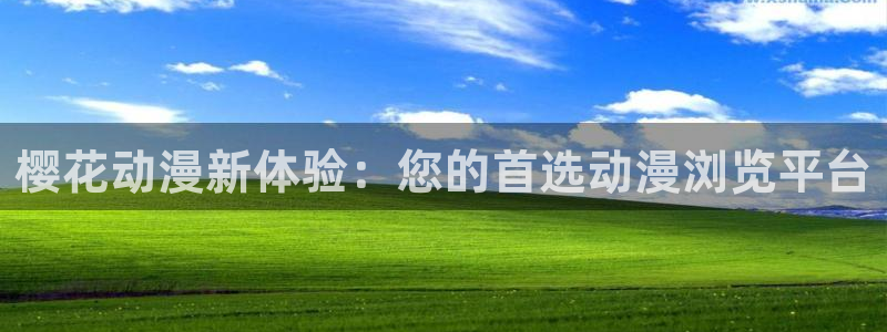 哈哩哈哩 动漫：樱花动漫新体验：您的首选动漫浏览平台