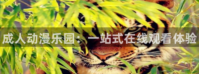 哈哩哈哩网站地址：成人动漫乐园：一站式在线观看体验